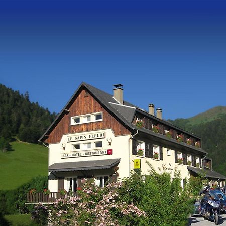 Hotel - Restaurant - Bar - Le Sapin Fleuri Bourg-dʼOueil Esterno foto