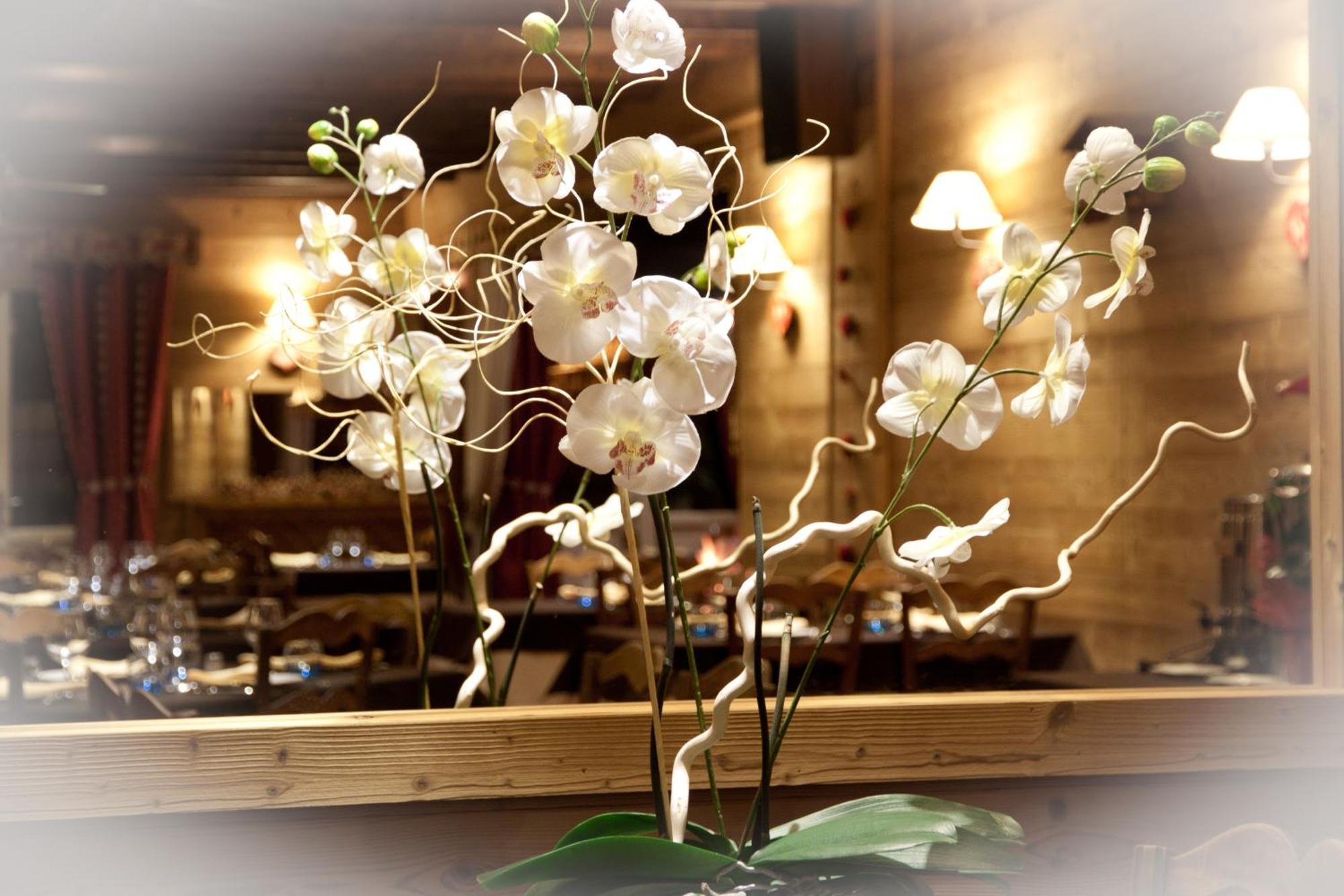 Hotel - Restaurant - Bar - Le Sapin Fleuri Bourg-dʼOueil Esterno foto
